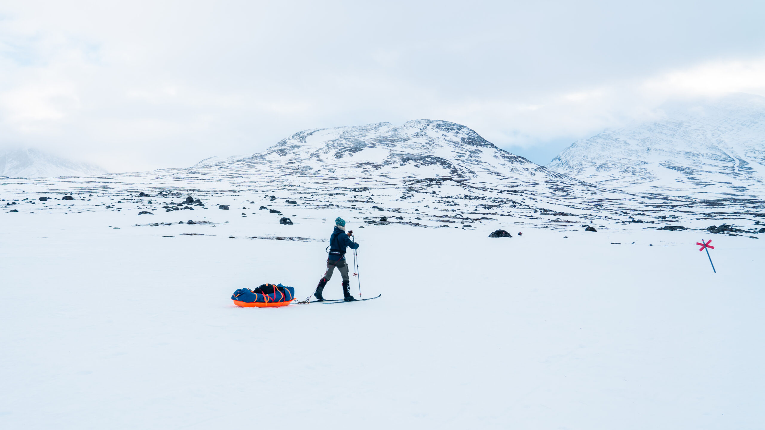 Montane Arctic Spine